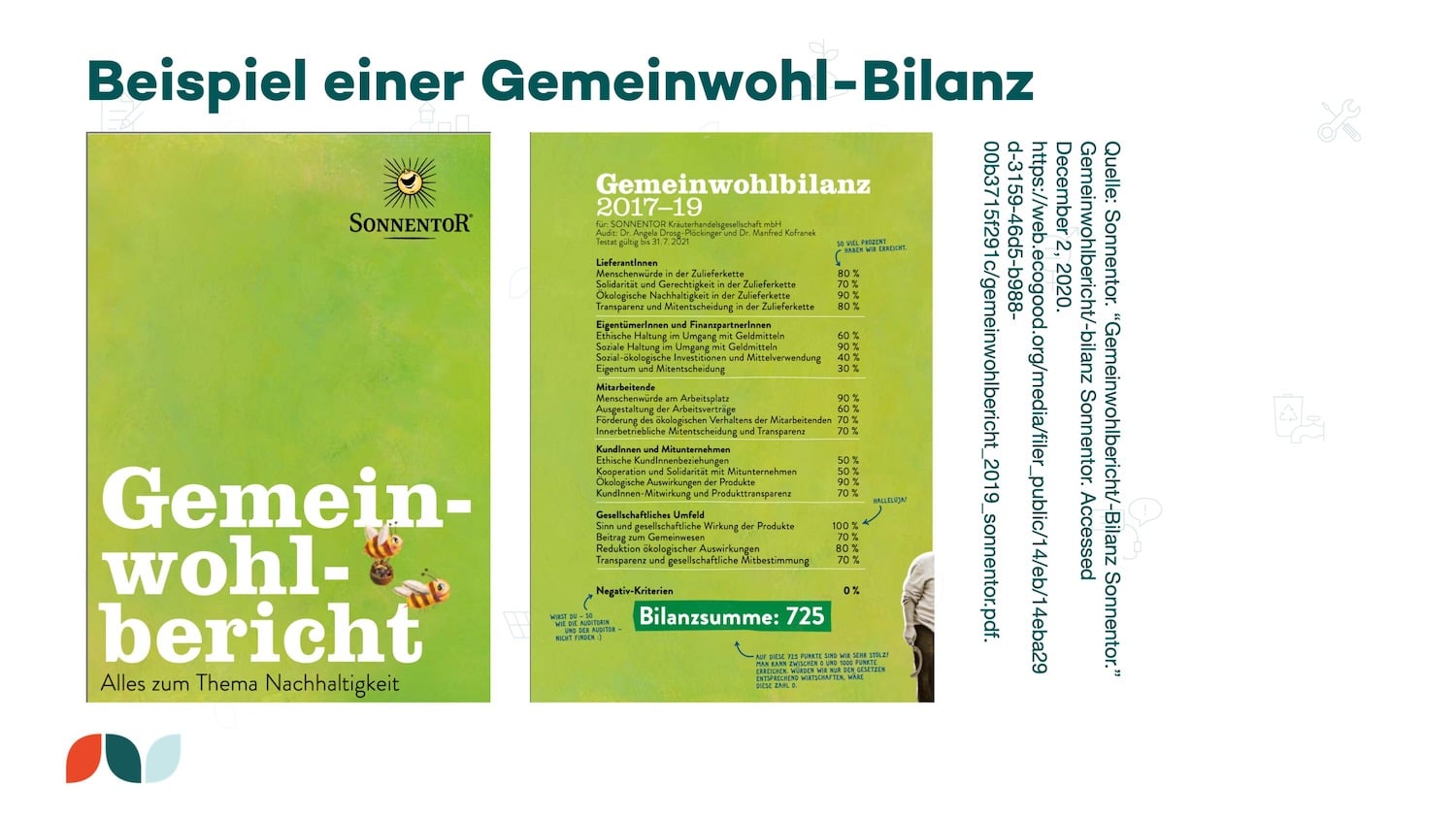 Beispiel einer Gemeinwohl-Bilanz